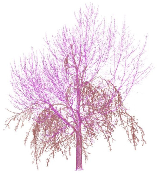 Image LiDAR superposant avant et au maximum de glace
